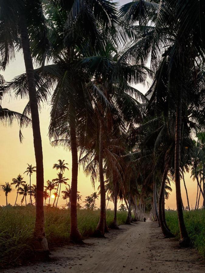 Alesara Guest House Thoddoo Luaran gambar