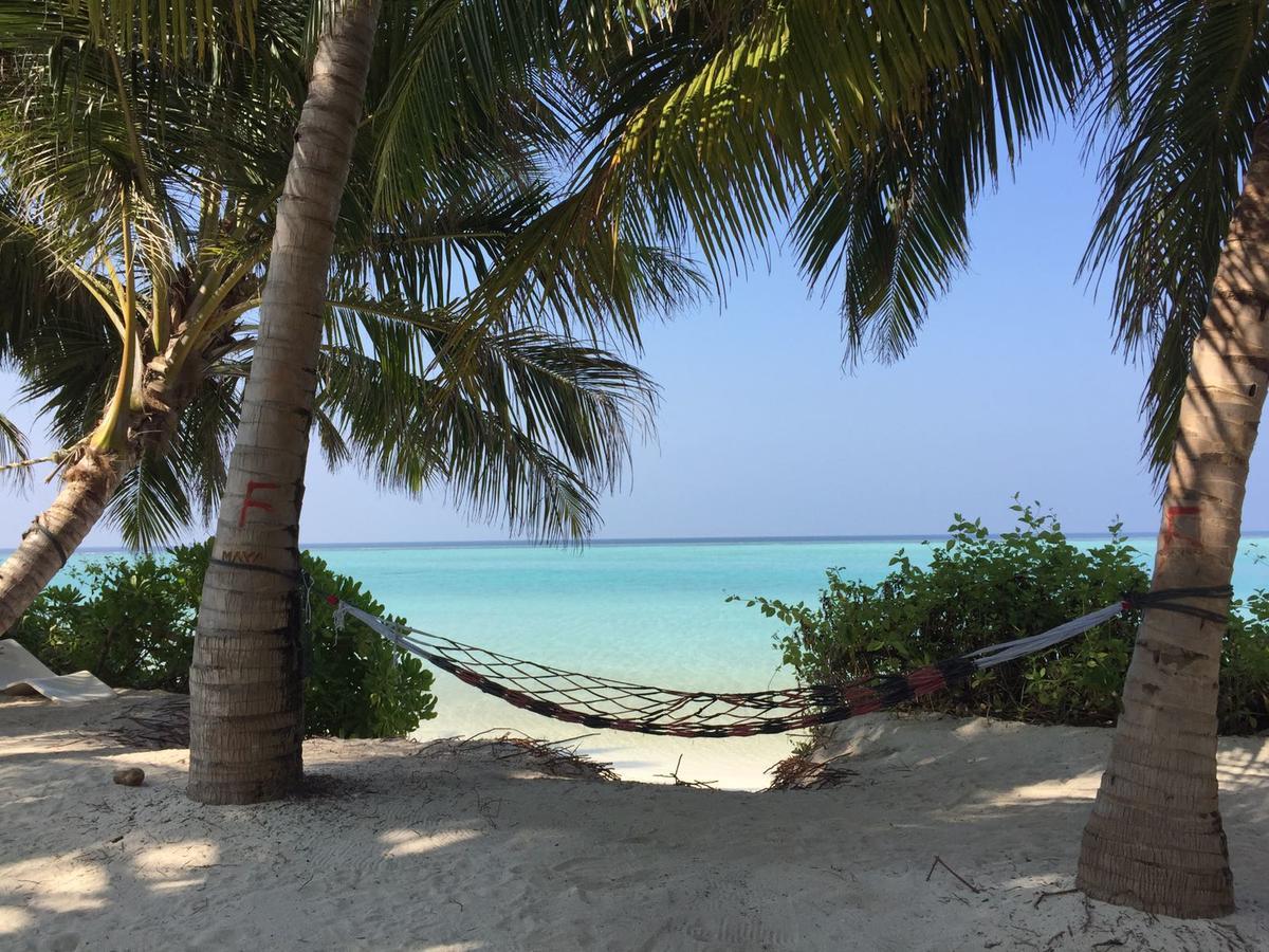Alesara Guest House Thoddoo Luaran gambar