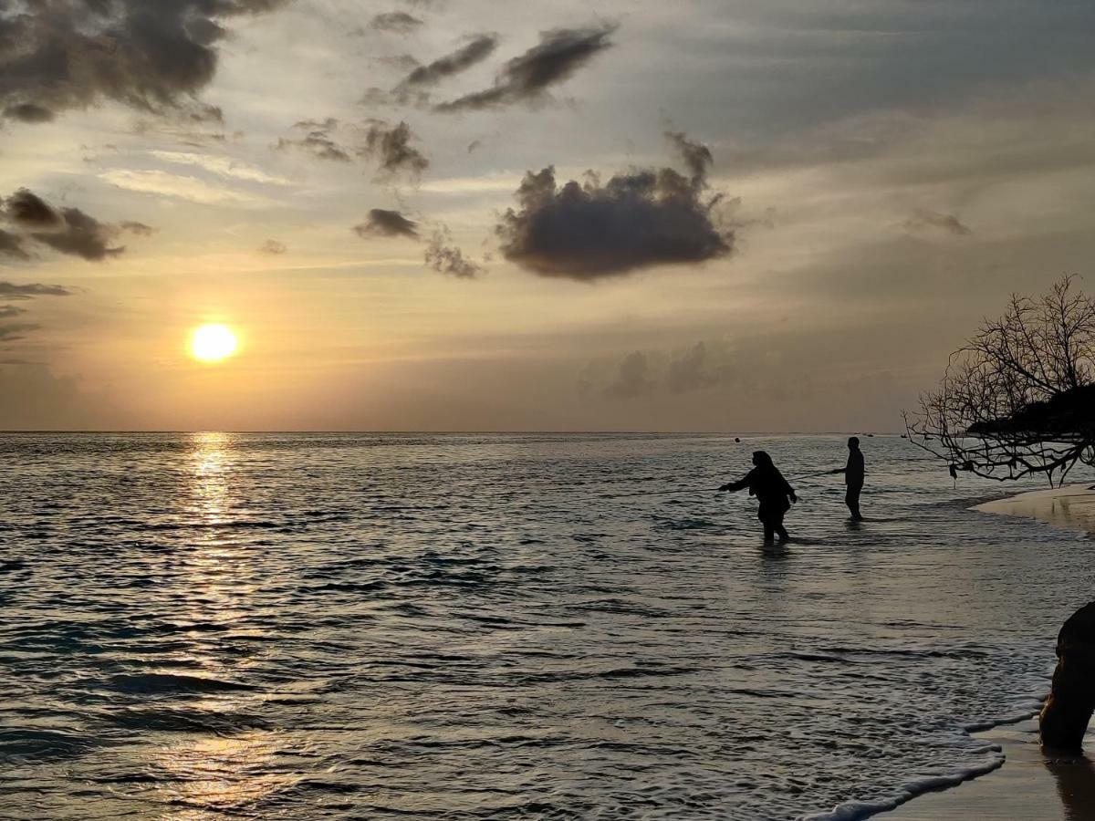 Alesara Guest House Thoddoo Luaran gambar